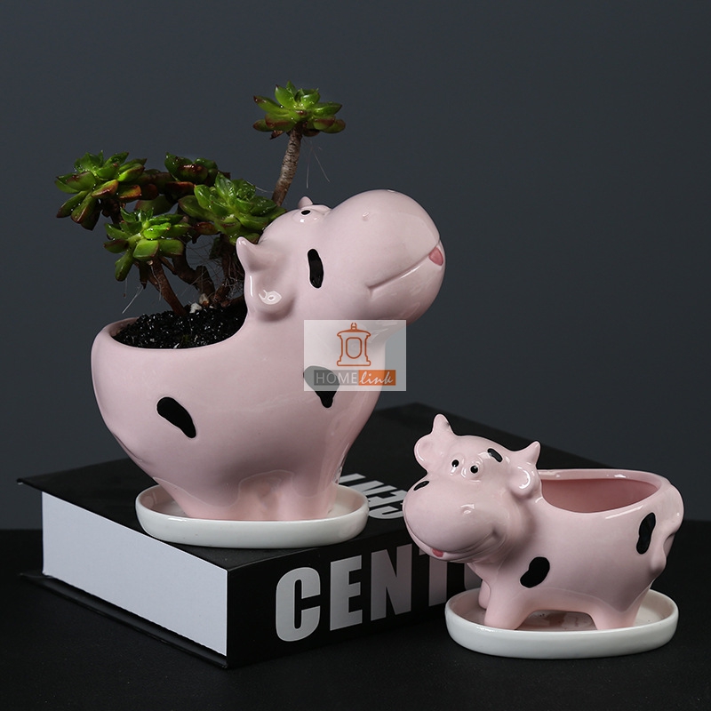Cow succulent flower pot